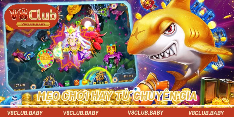 Mẹo chơi hay từ chuyên gia