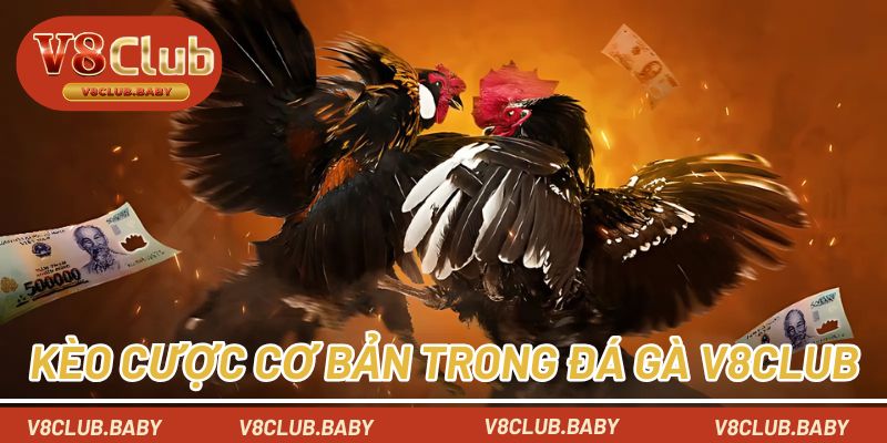 Các loại kèo cược cơ bản
