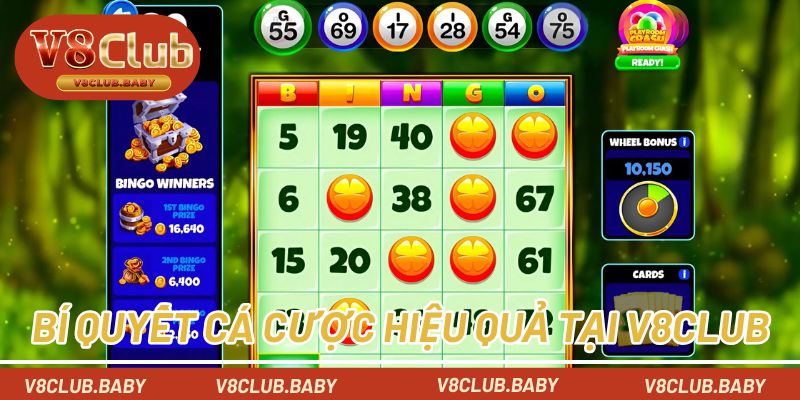 Chia sẻ bí quyết cá cược hiệu quả tại V8CLUB