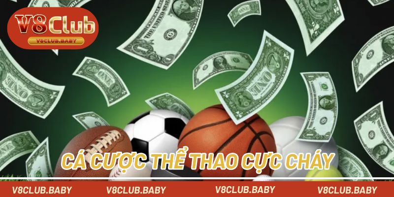 Cá cược thể thao cực cháy